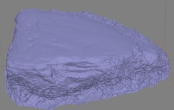 Photogrammetric model of the Lethinkill rock-art, solid texture. Generated using Agisoft Photoscan.